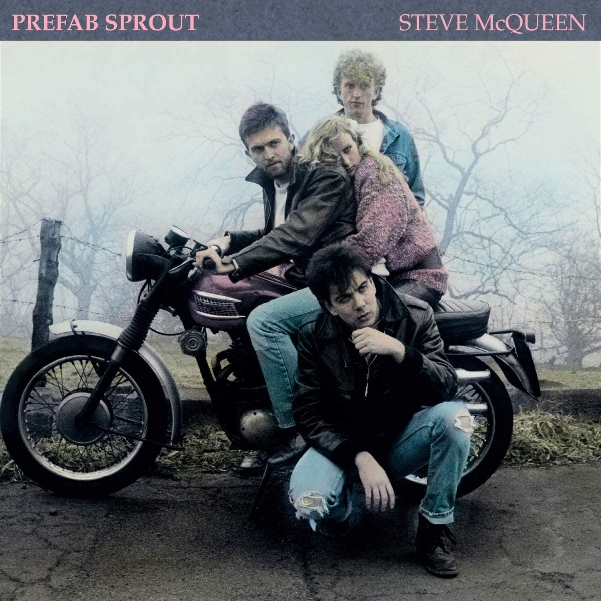 【レア】　プリファブ・スプラウト　スティーヴ・マックィーン　1985年 ポスター Prefab Sprout / STEVE McQUEEN LP入荷🎉 パディ・マクアルーン